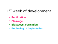 embryo 1st week devpt S2.pptx